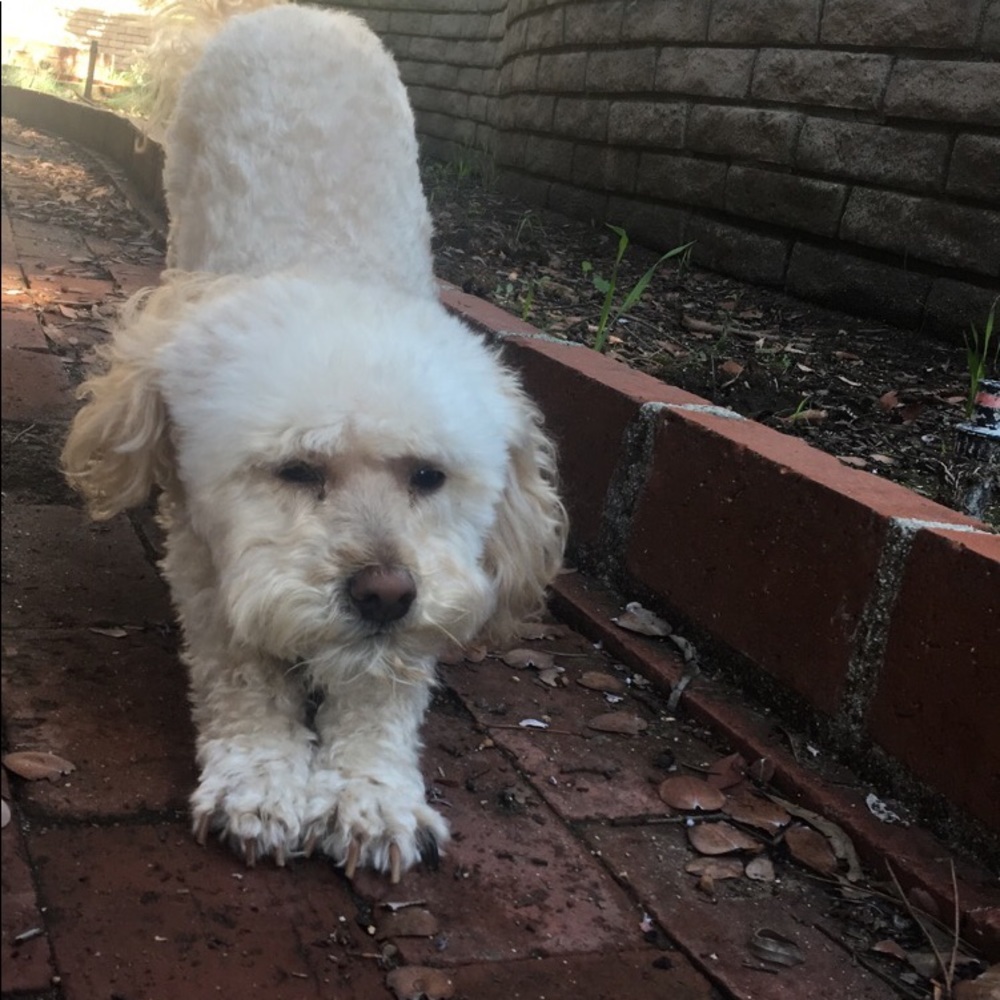 Meet your Posher, Kristy